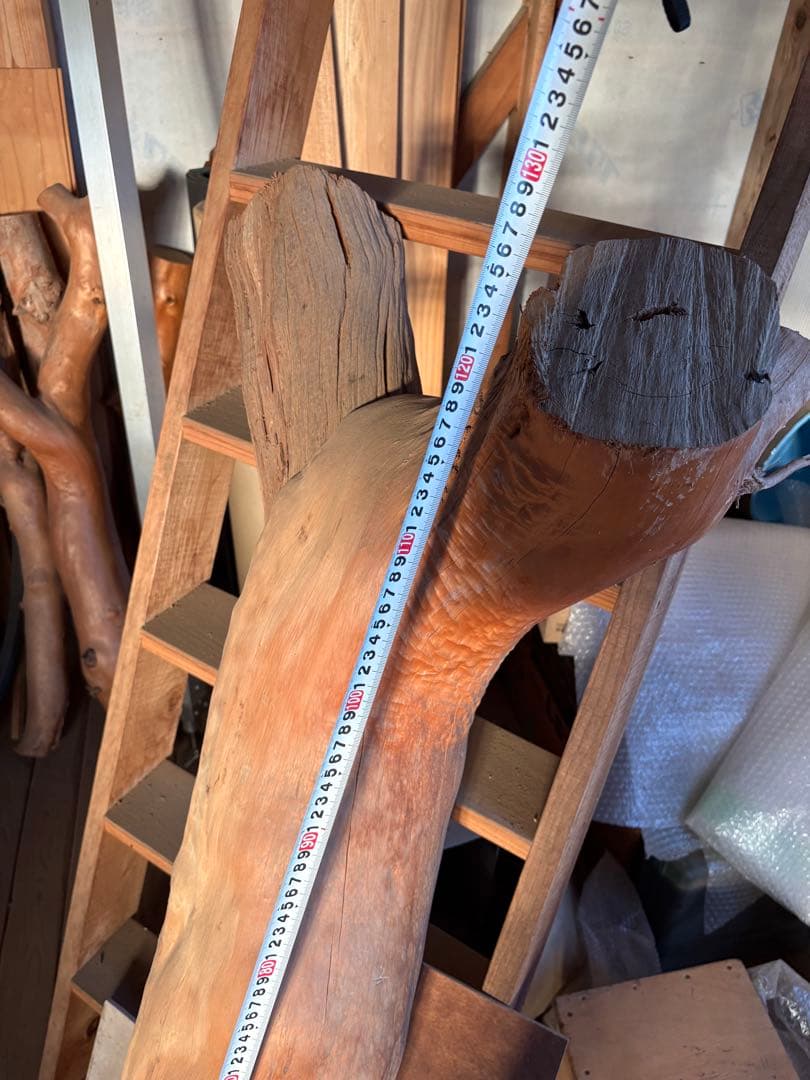 樹齢約800年　杉　枝　アクアリウム　流木　パワーウッド　水槽　インテリア