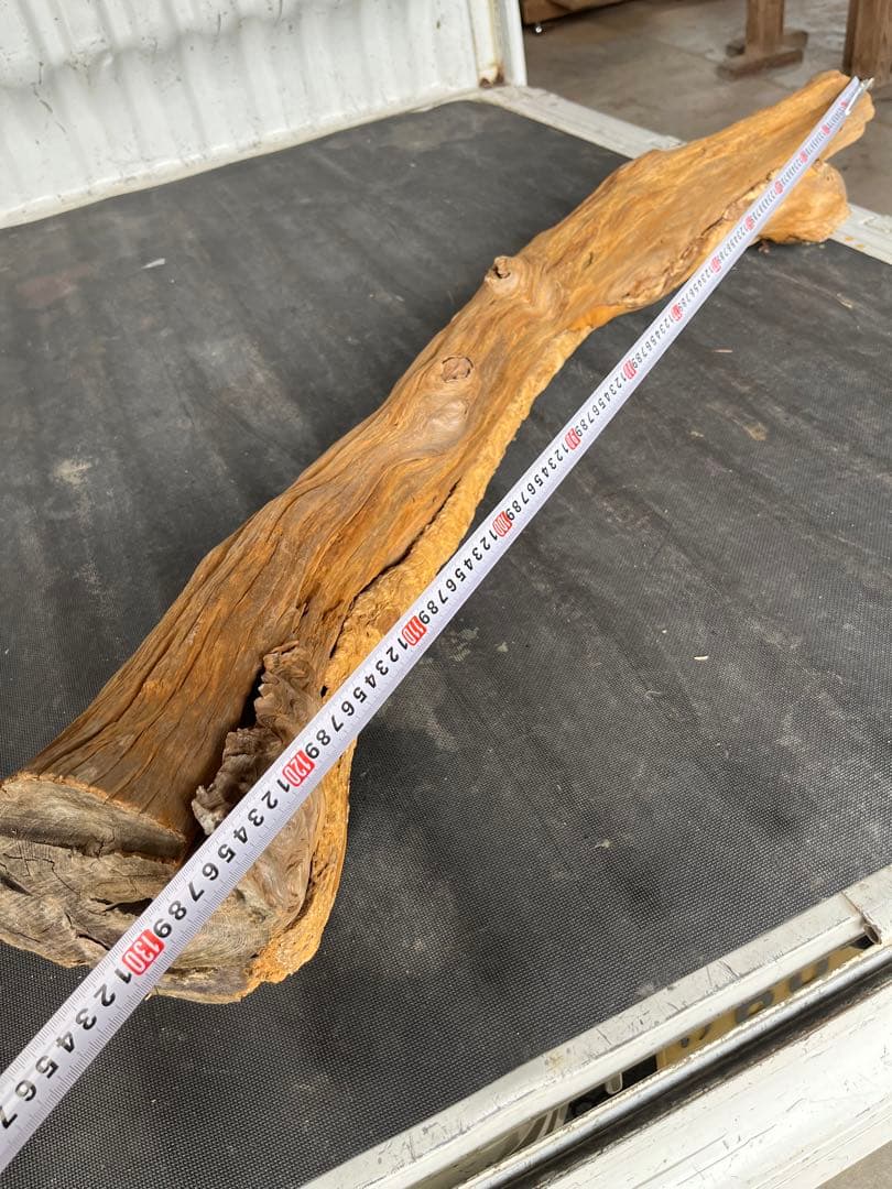 樹齢約800年　杉　枝　アクアリウム　流木　パワーウッド　水槽　インテリア