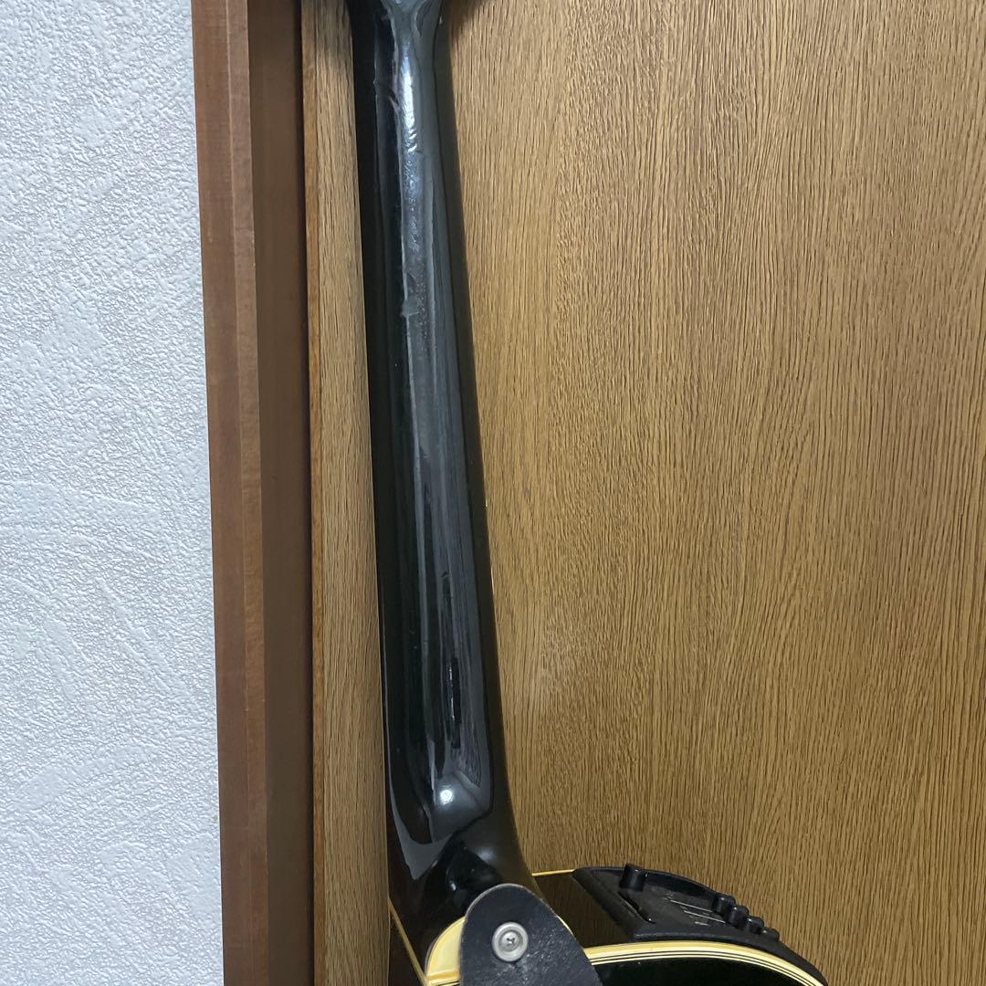 Takamine タカミネ NPT-110 エレアコギター