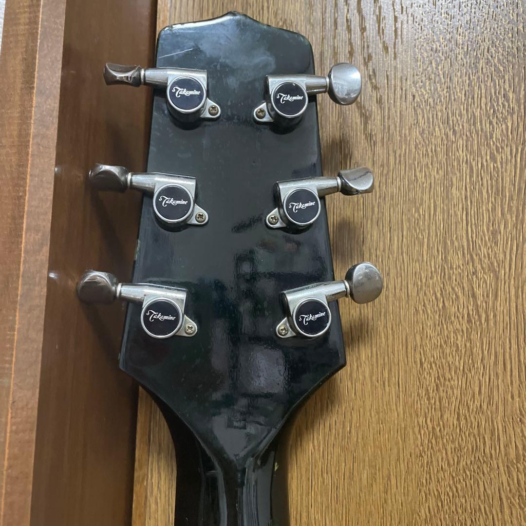 Takamine タカミネ NPT-110 エレアコギター