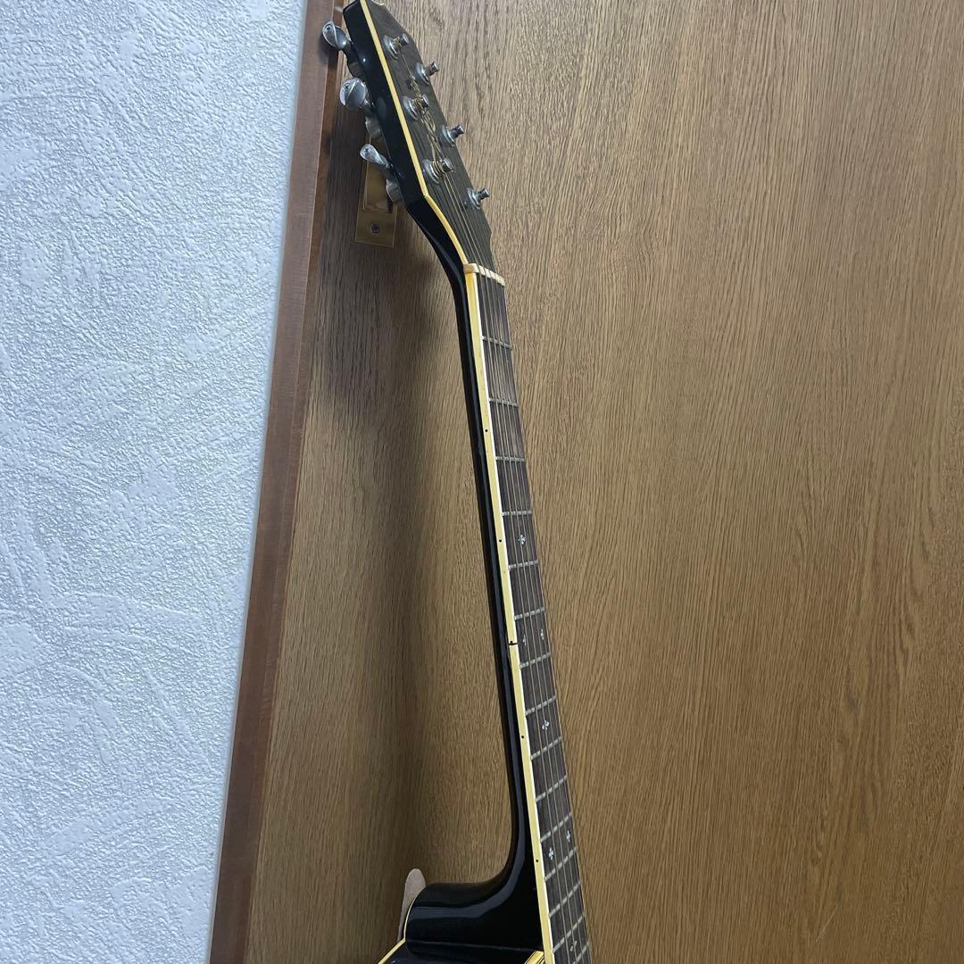 Takamine タカミネ NPT-110 エレアコギター