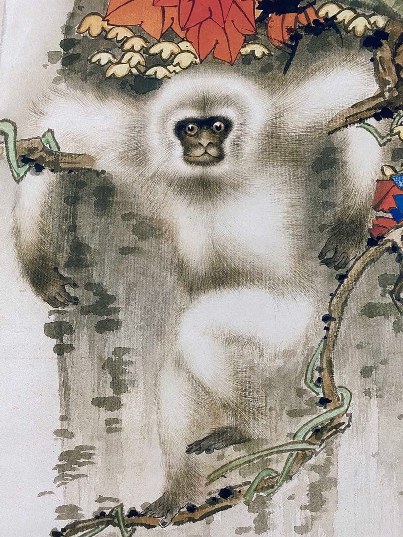 田世光 红业白猴 中国画 掛け軸 水墨画 和室 玄関 茶室 壁掛け 美術品