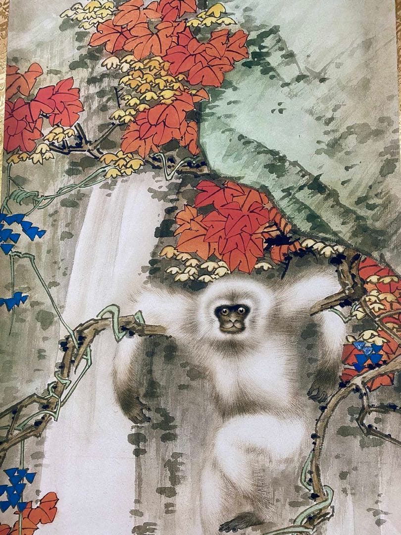 田世光 红业白猴 中国画 掛け軸 水墨画 和室 玄関 茶室 壁掛け 美術品