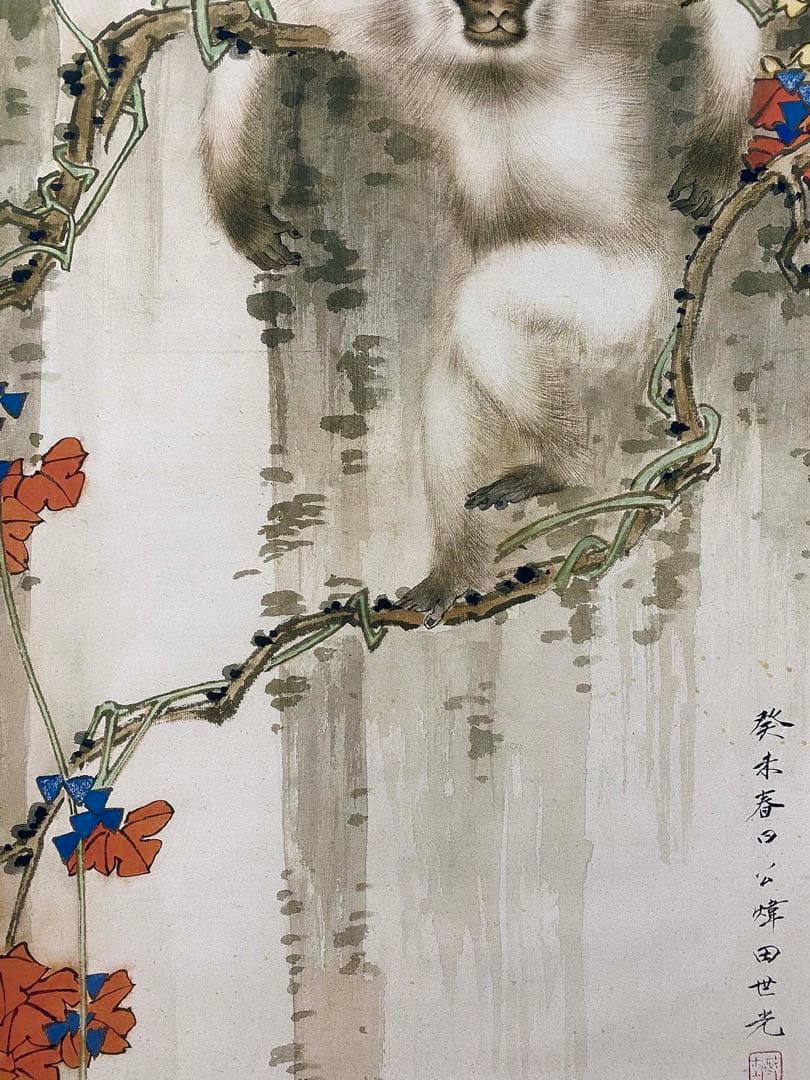 田世光 红业白猴 中国画 掛け軸 水墨画 和室 玄関 茶室 壁掛け 美術品