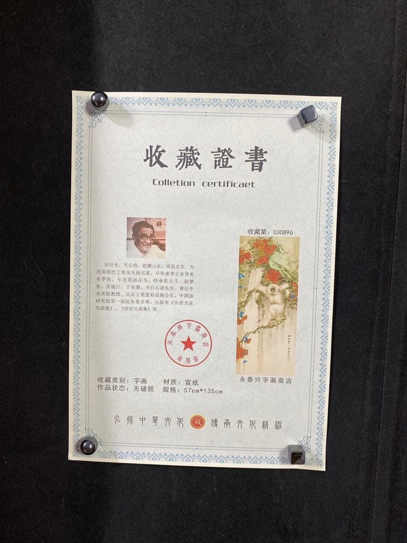 田世光 红业白猴 中国画 掛け軸 水墨画 和室 玄関 茶室 壁掛け 美術品