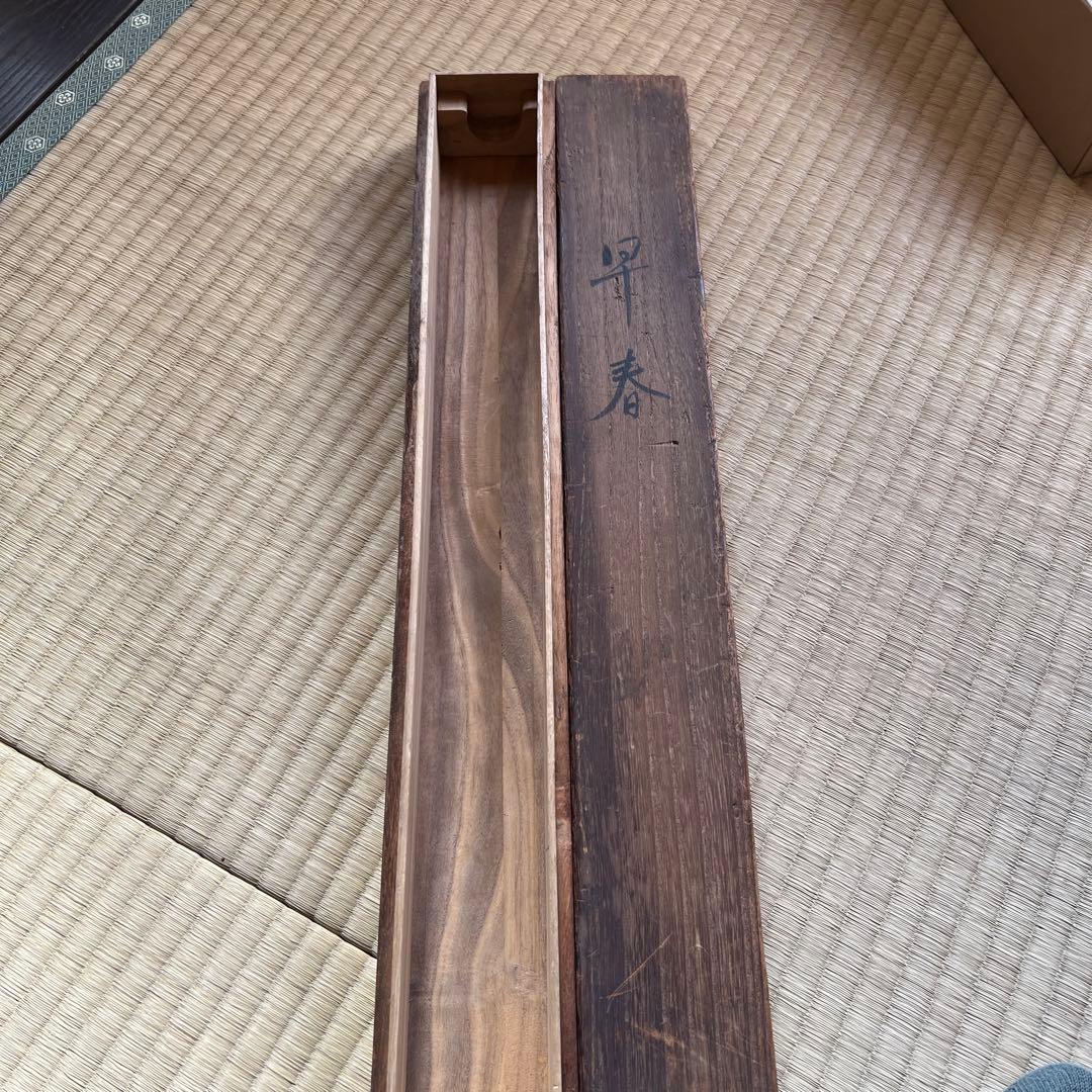 掛軸　明治に活躍した画人白濤　早春共箱　表装し直しました美品　しみあり