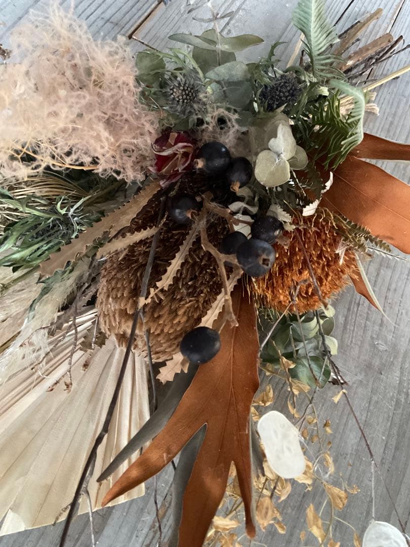 バンクシアとドライアンドラフォルモーサのコックリ秋色