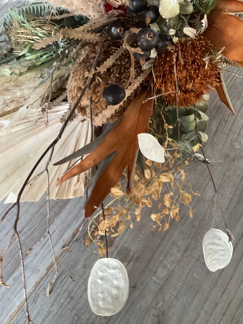 バンクシアとドライアンドラフォルモーサのコックリ秋色