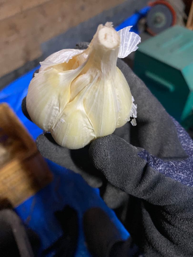 専用出品です。