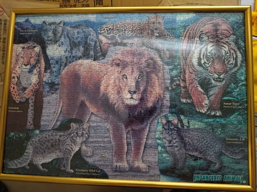 ネコ科動物パズル
