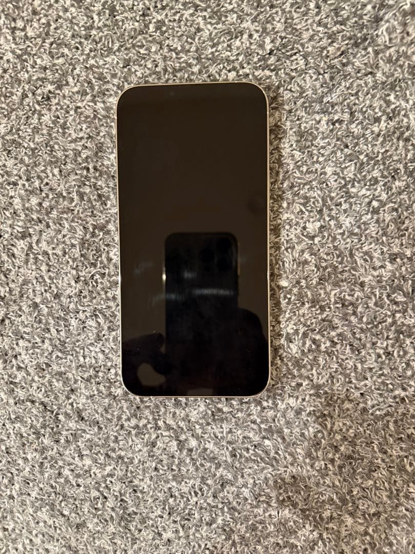 iPhone13promax 256GB SIMフリー