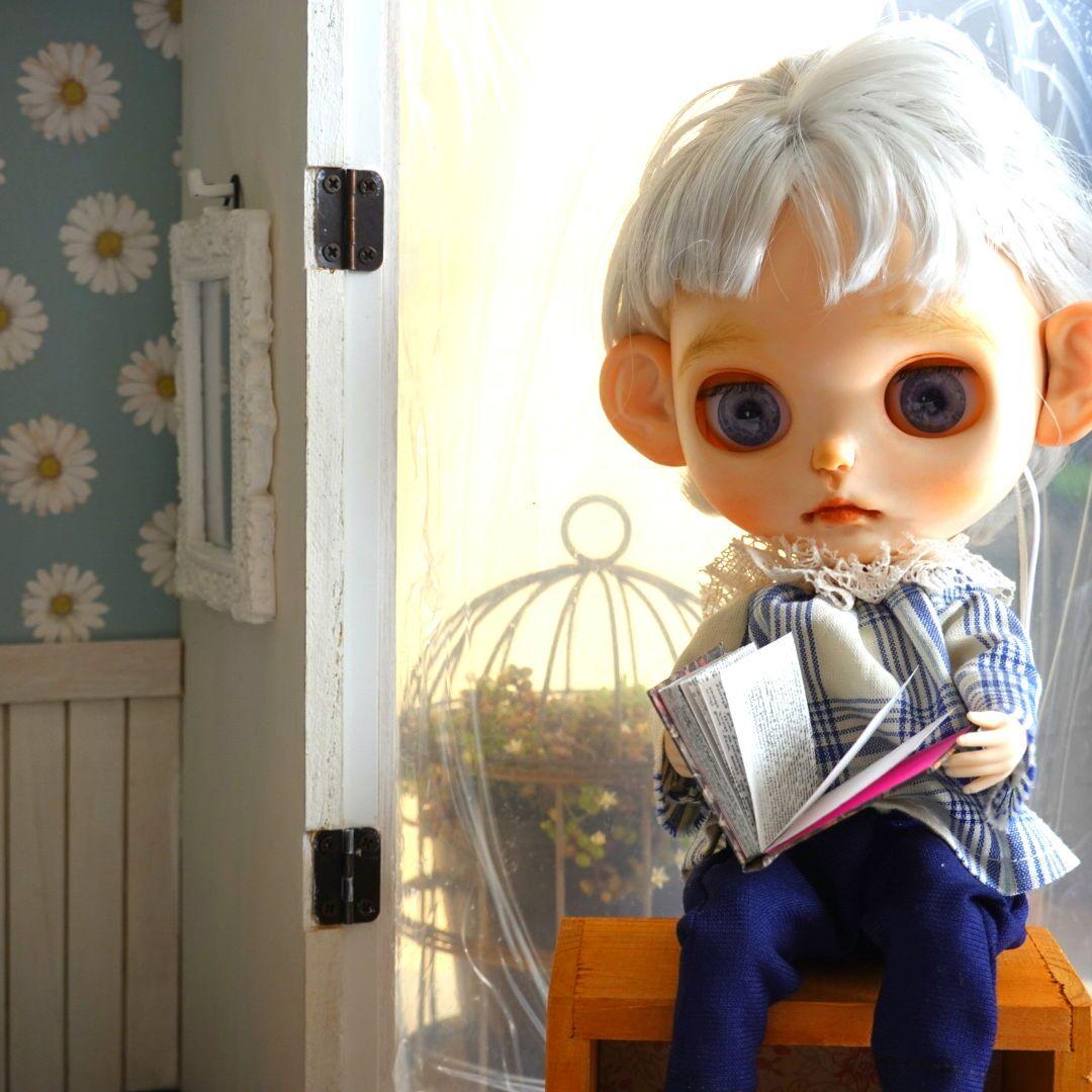 ブライス リカちゃん カスタムアイシードールドールハウス 背景ボード No.6