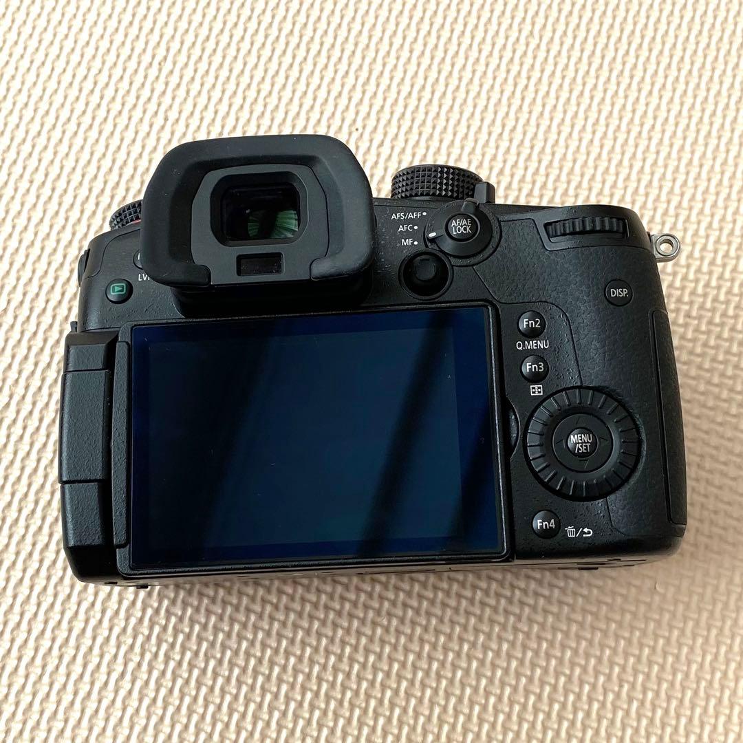 デジタルカメラ Panasonic GH5S