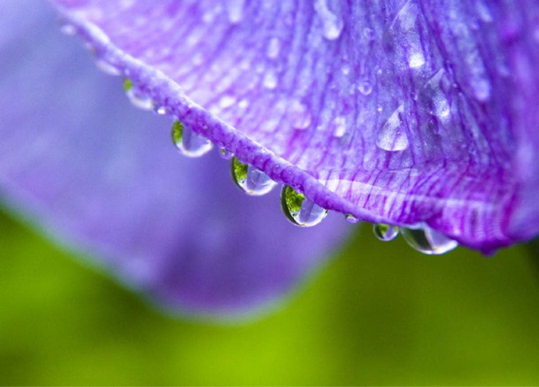 極上品Sigma 17-70mm F2.8-4 DC Macro ニコンマウント