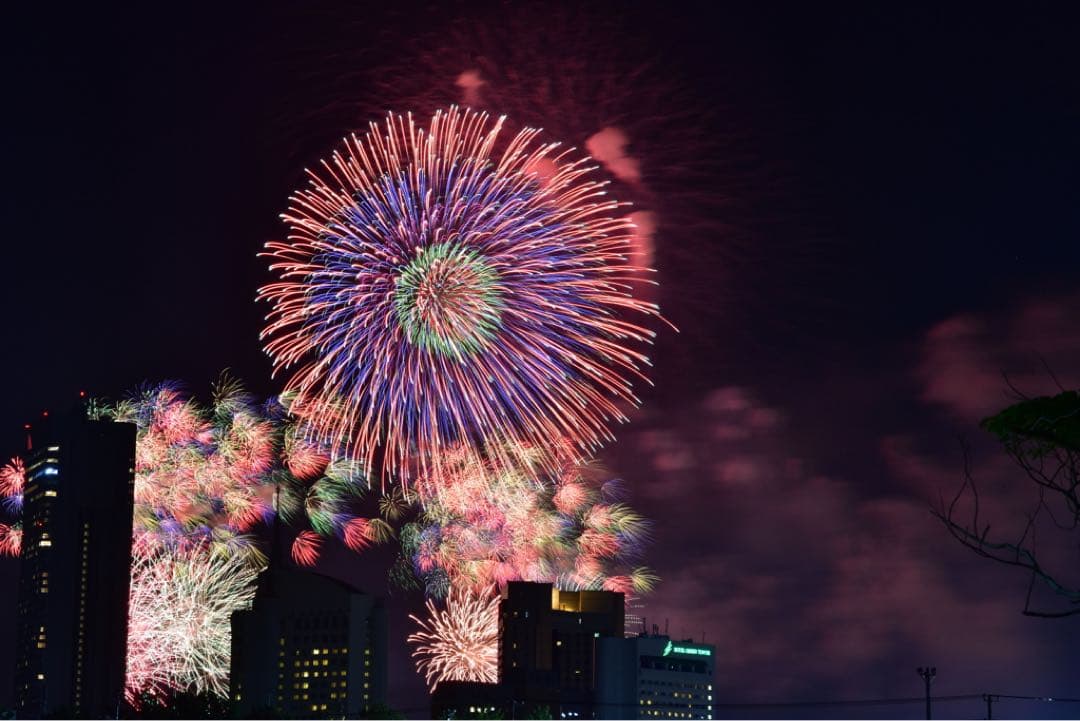 極上品Sigma 17-70mm F2.8-4 DC Macro ニコンマウント