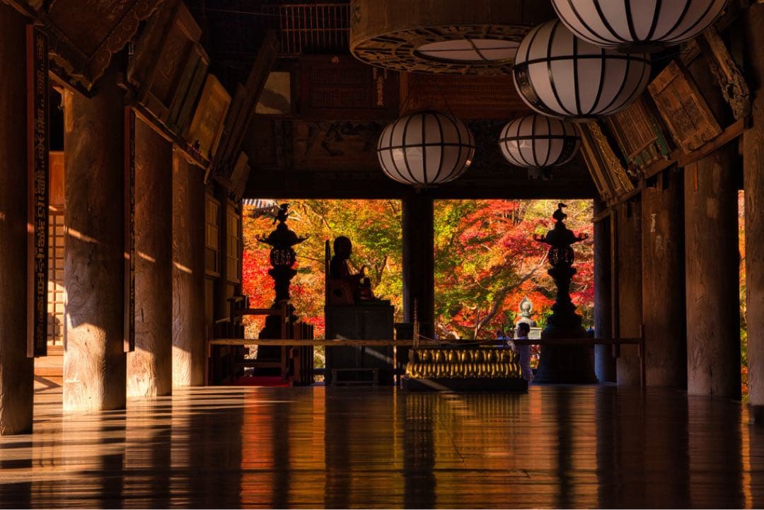 極上品Sigma 17-70mm F2.8-4 DC Macro ニコンマウント