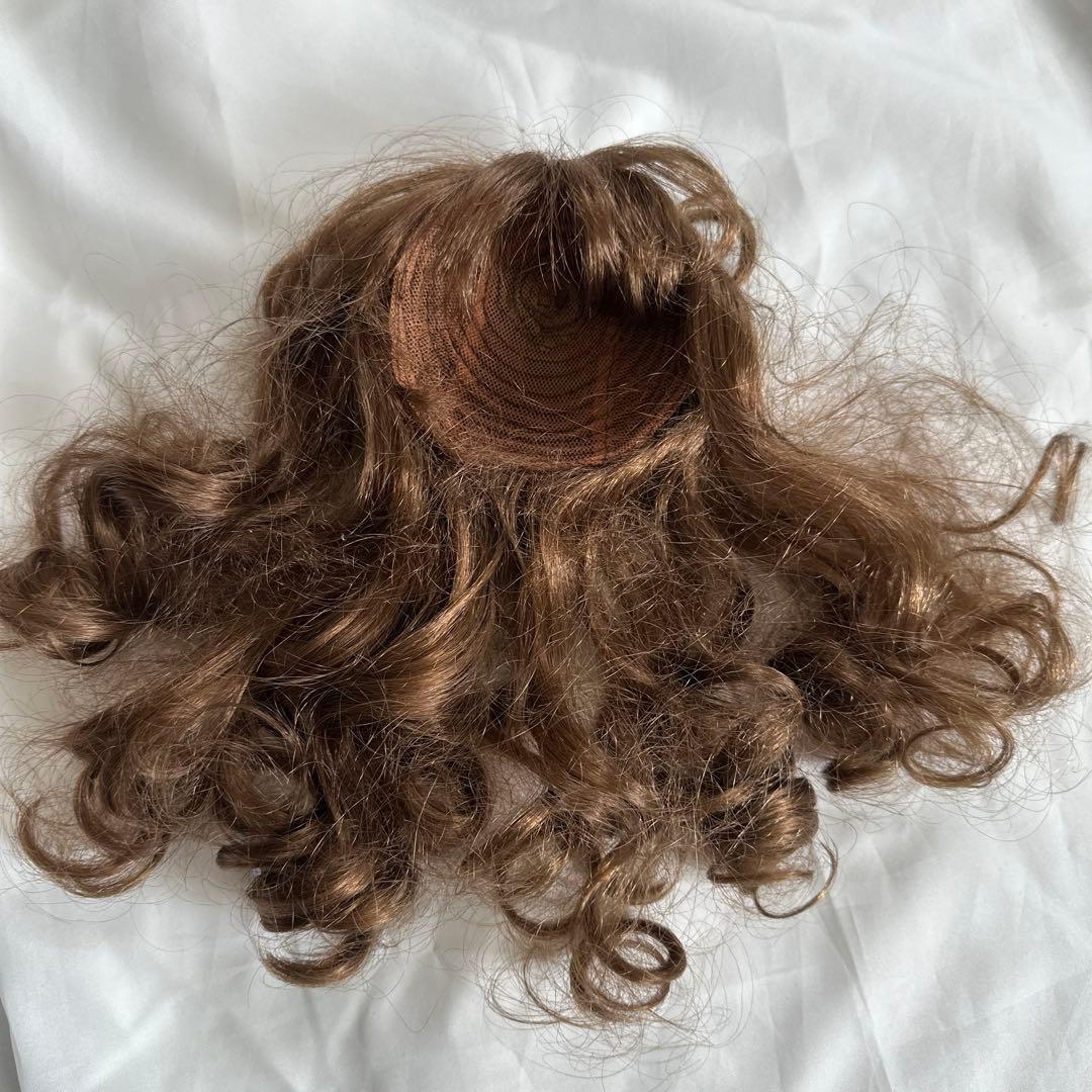 ビスクドール　ウィッグ付き　ドレス一式は付きません着用例