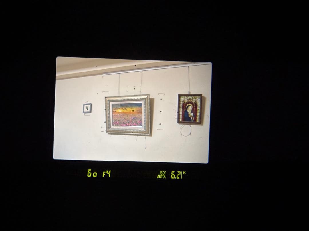 Nikon D5100 ダブルズームキット 動作確認済み フラッシュ不良 欠品有