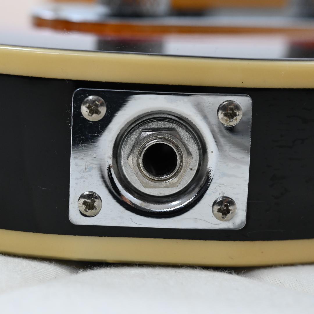 【送料込】Bacchus テレキャスター サンバースト エレキギター G025