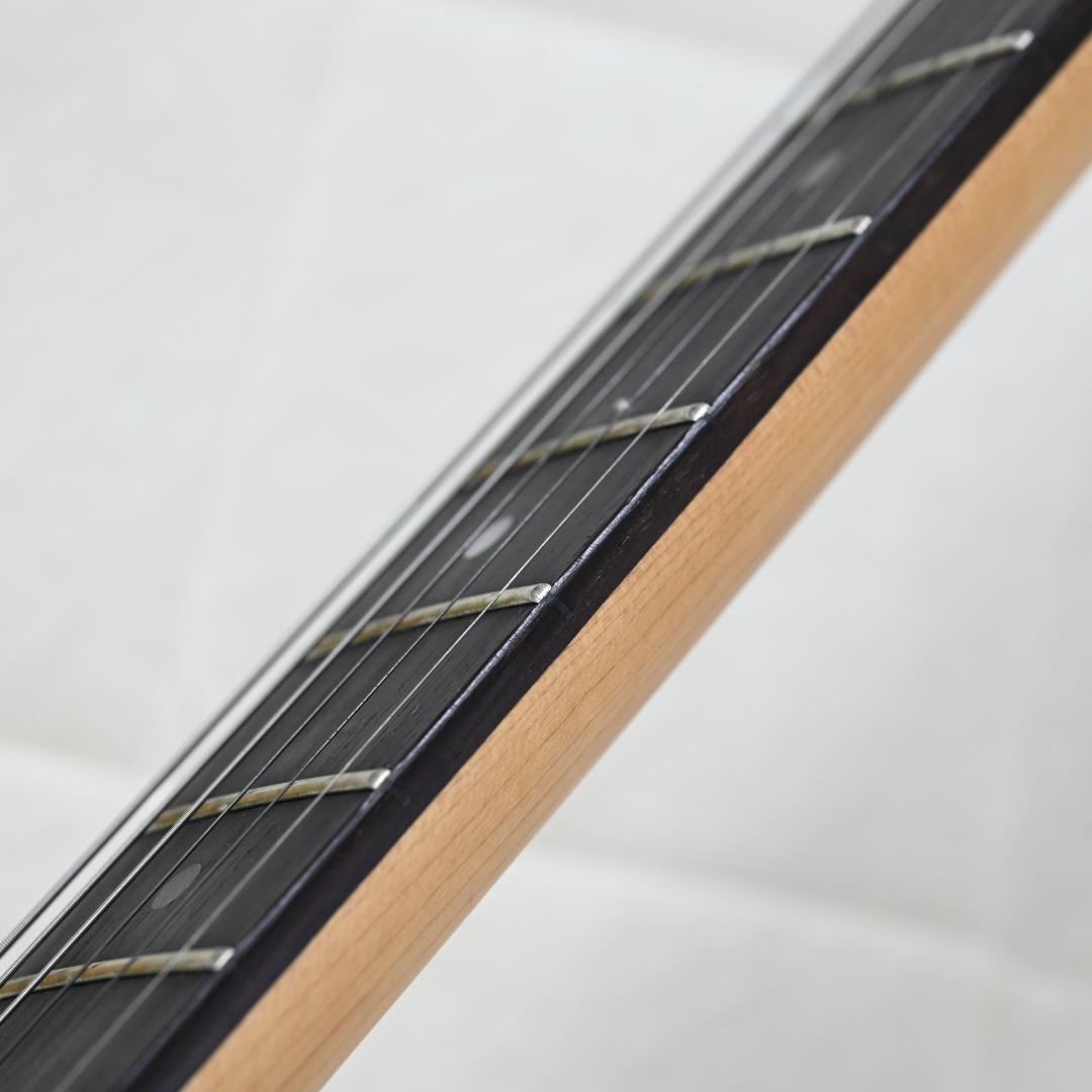 【送料込】Bacchus テレキャスター サンバースト エレキギター G025