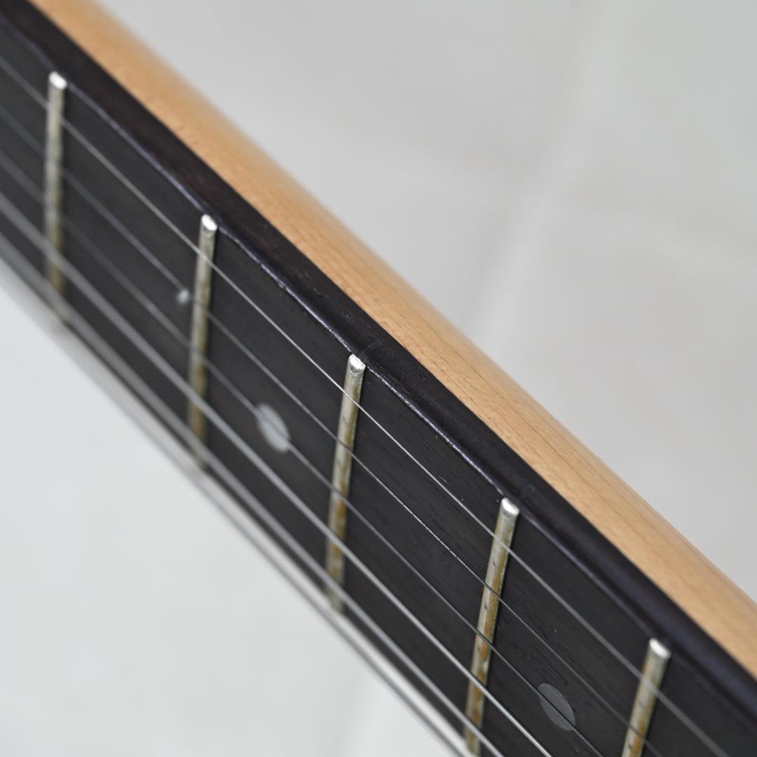 【送料込】Bacchus テレキャスター サンバースト エレキギター G025