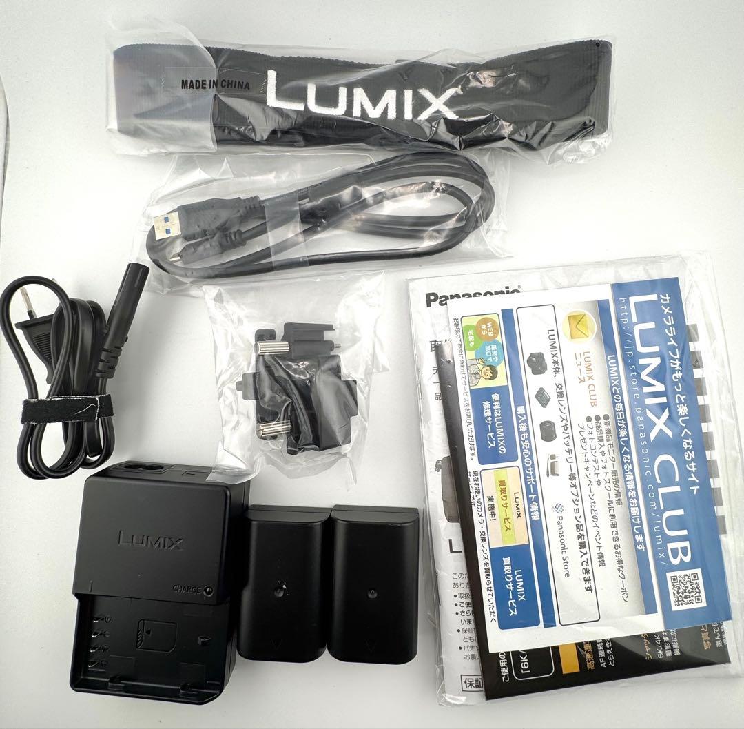 Panasonic LUMIX DC-GH5-K ボディ SDカード V-Log