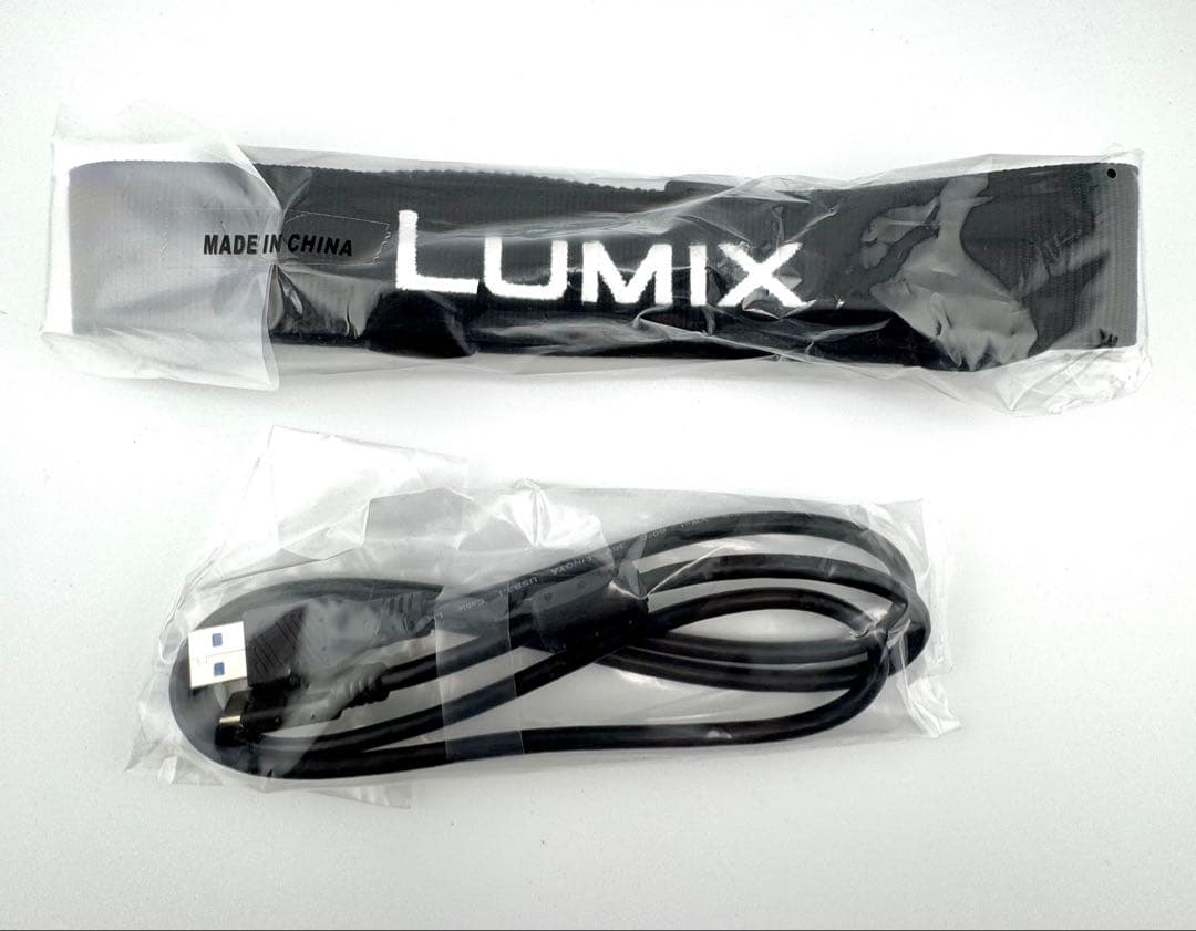 Panasonic LUMIX DC-GH5-K ボディ SDカード V-Log