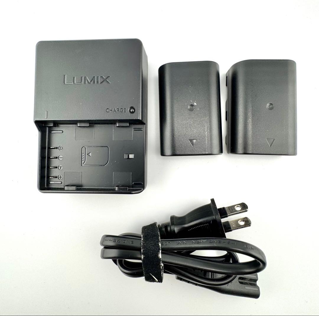 Panasonic LUMIX DC-GH5-K ボディ SDカード V-Log