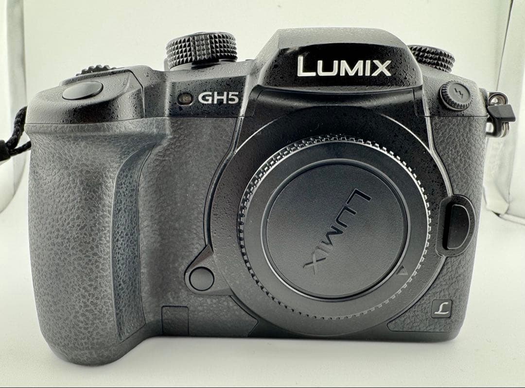 Panasonic LUMIX DC-GH5-K ボディ SDカード V-Log