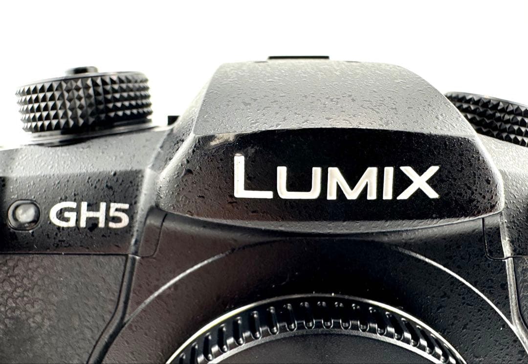 Panasonic LUMIX DC-GH5-K ボディ SDカード V-Log