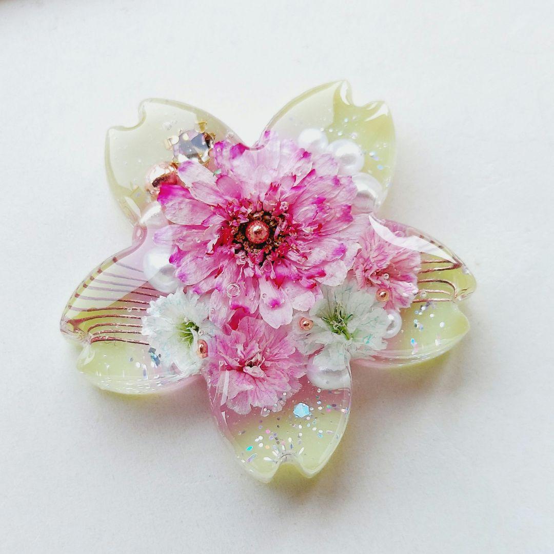 【1749】レジン　マトリカリア　ヘアゴム　ポニーフック　ブロ―チ　ハンドメイド