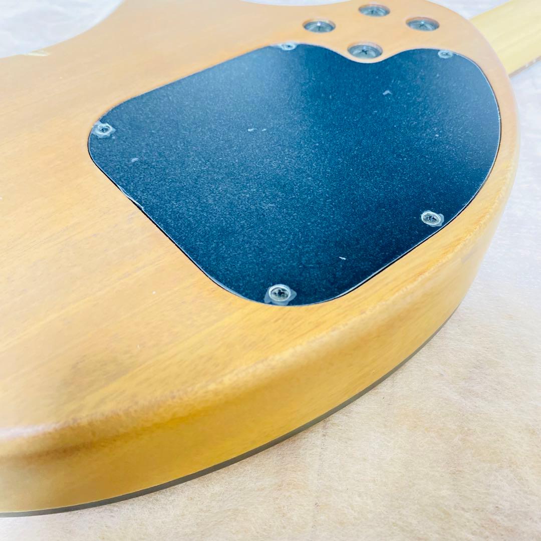 希少✨フェルナンデス エレアコ ZO-3A ソフトケース付き