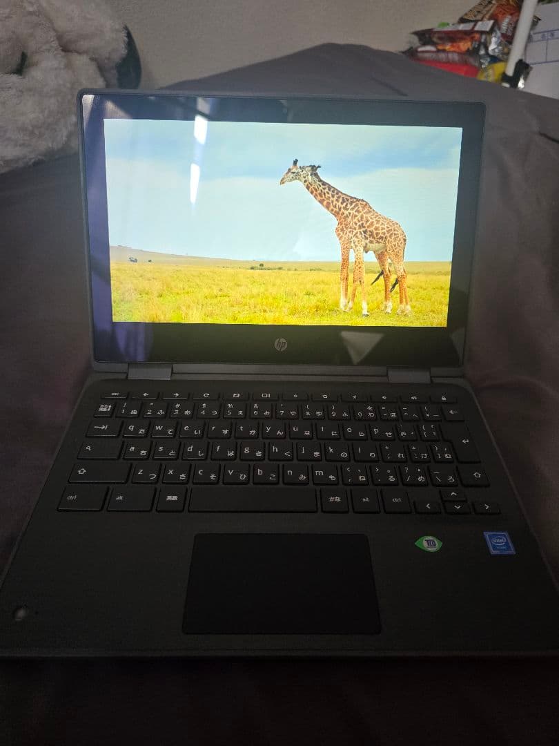 ノ*ン様 HP Chromebook 11.6インチ Intel Celeron