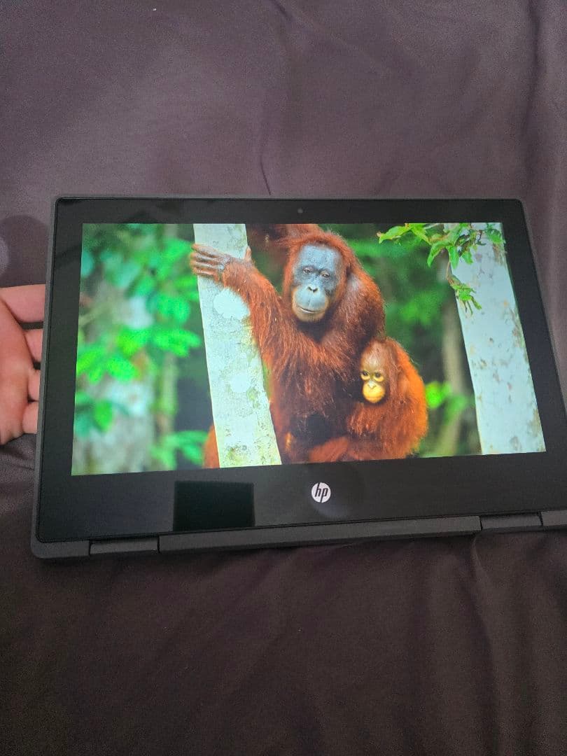 ノ*ン様 HP Chromebook 11.6インチ Intel Celeron