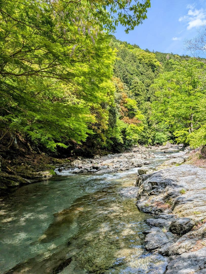 ゆきめい様　6.3 オニオオハシ　レジンヘアゴム　アジサイ