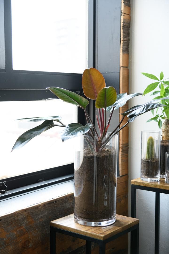 【割れないガラス!?】ポリカーボネート製品：2300009