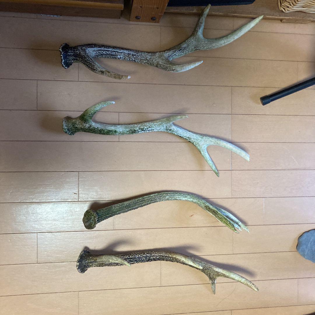 鹿の角　4本セット
