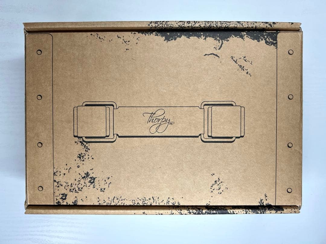 ギター Thorpy FX Electric Lightning