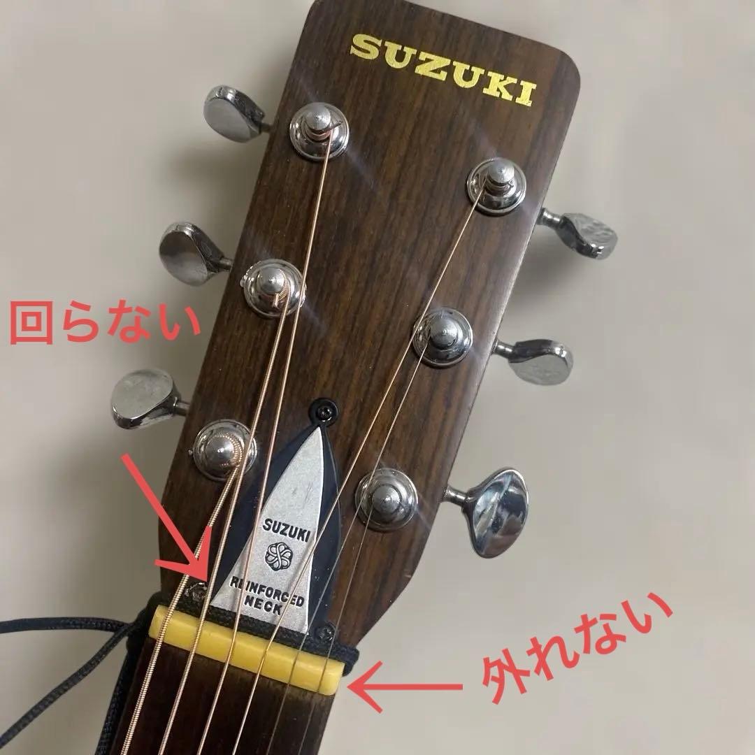 スズキバイオリン