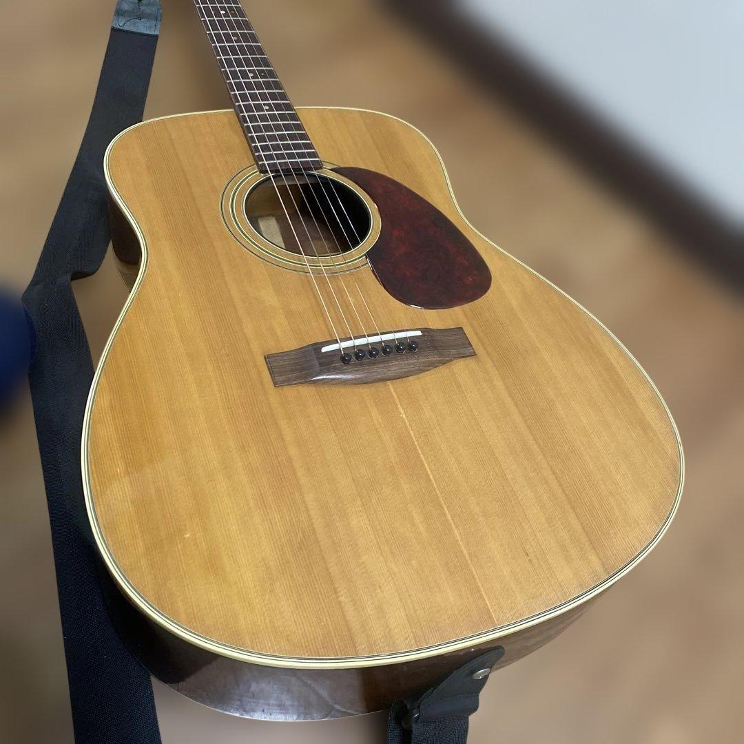 スズキバイオリン