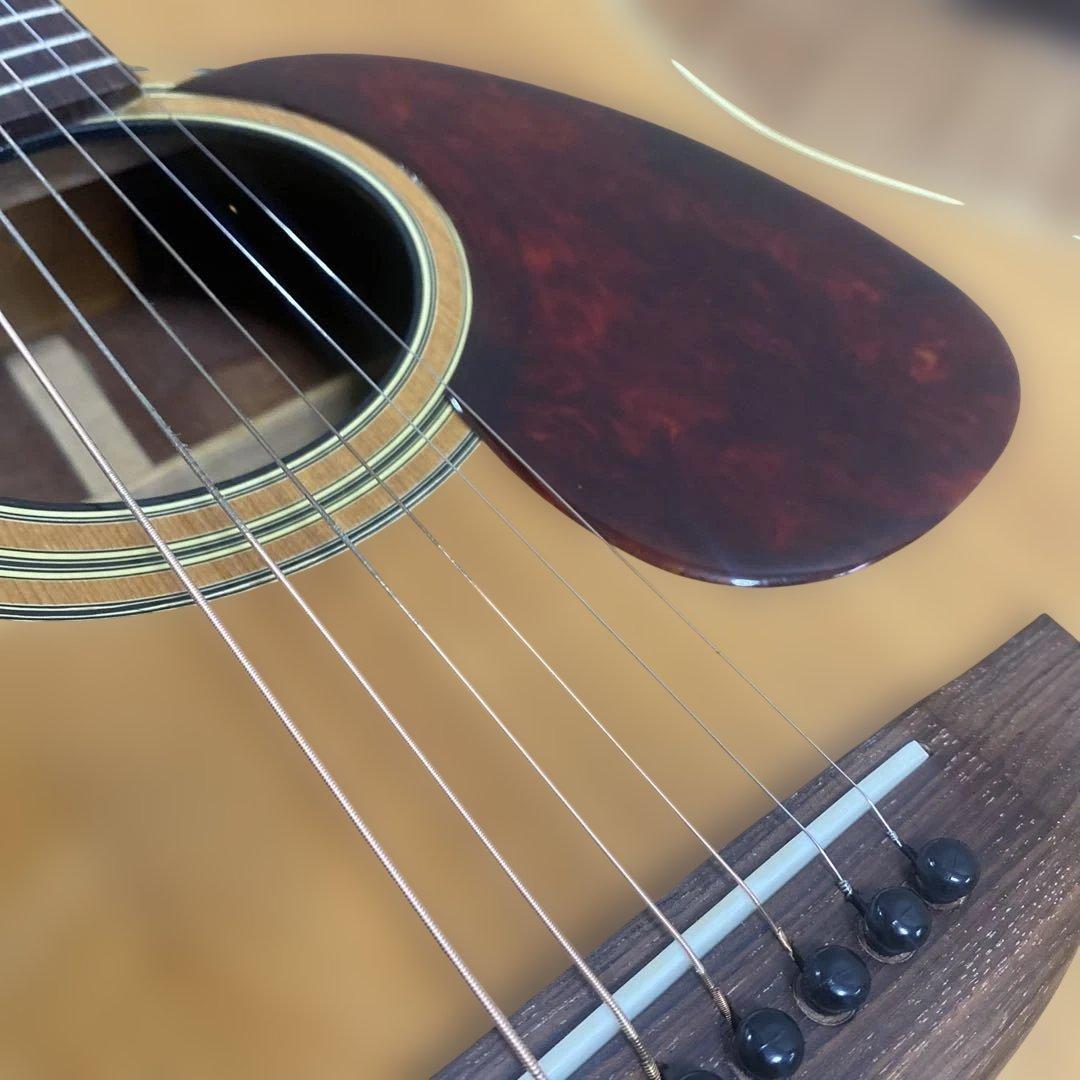 スズキバイオリン