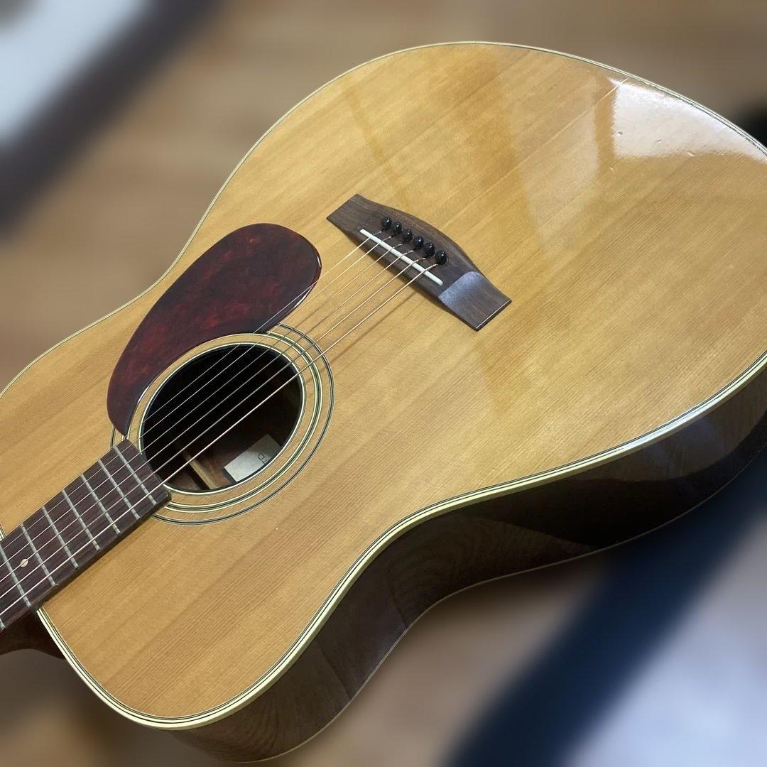 スズキバイオリン