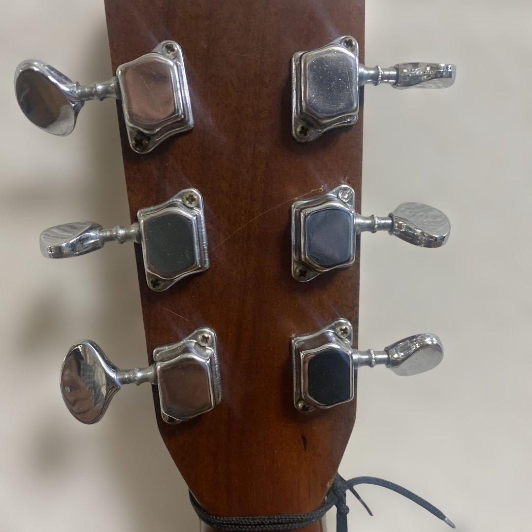 スズキバイオリン