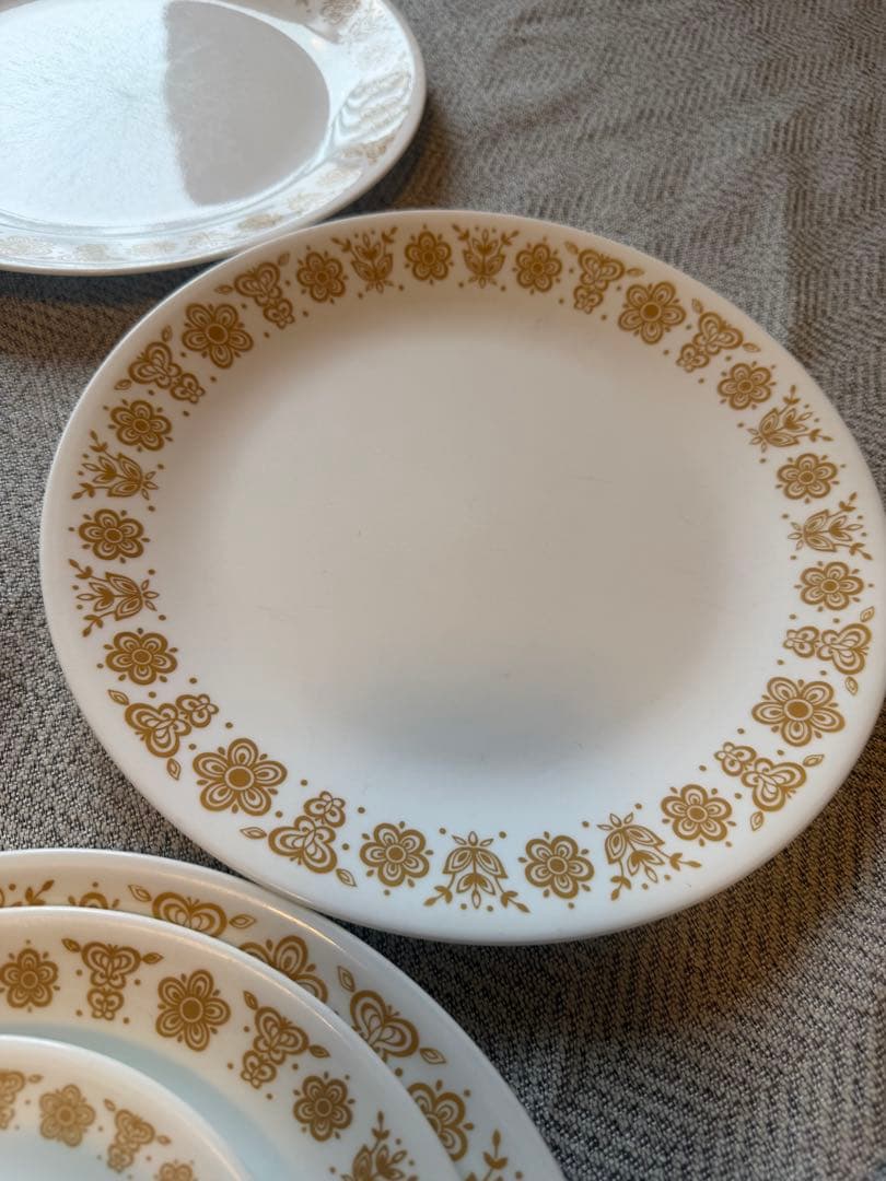 コレール バタフライゴールド 24点