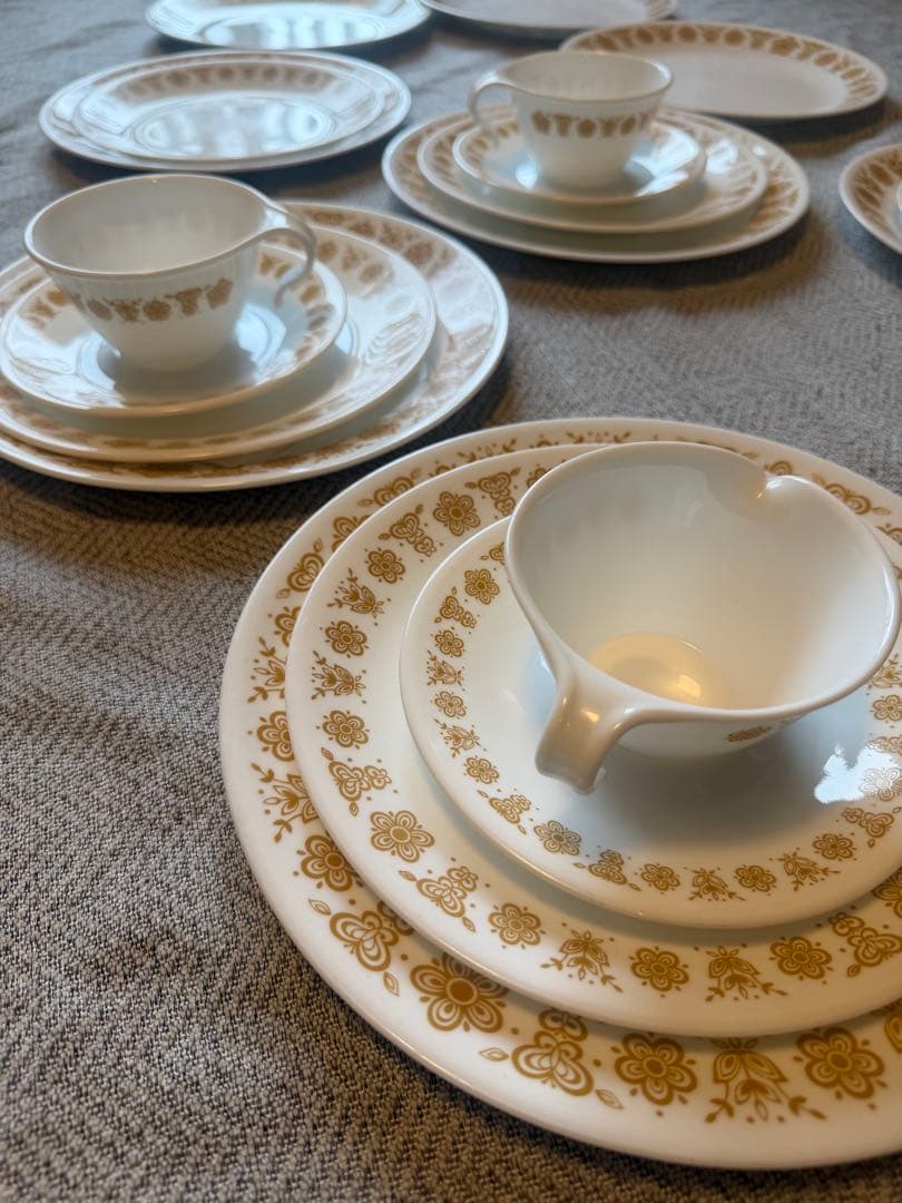 コレール バタフライゴールド 24点