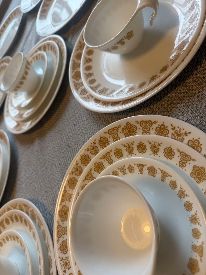 コレール バタフライゴールド 24点