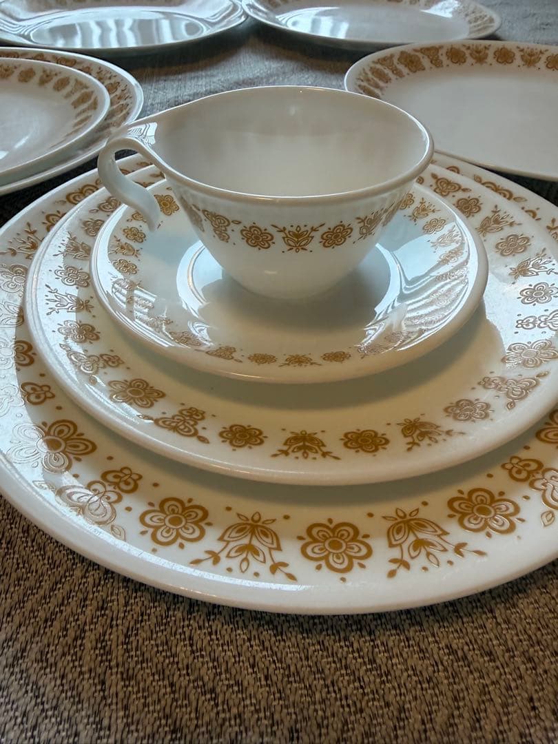 コレール バタフライゴールド 24点