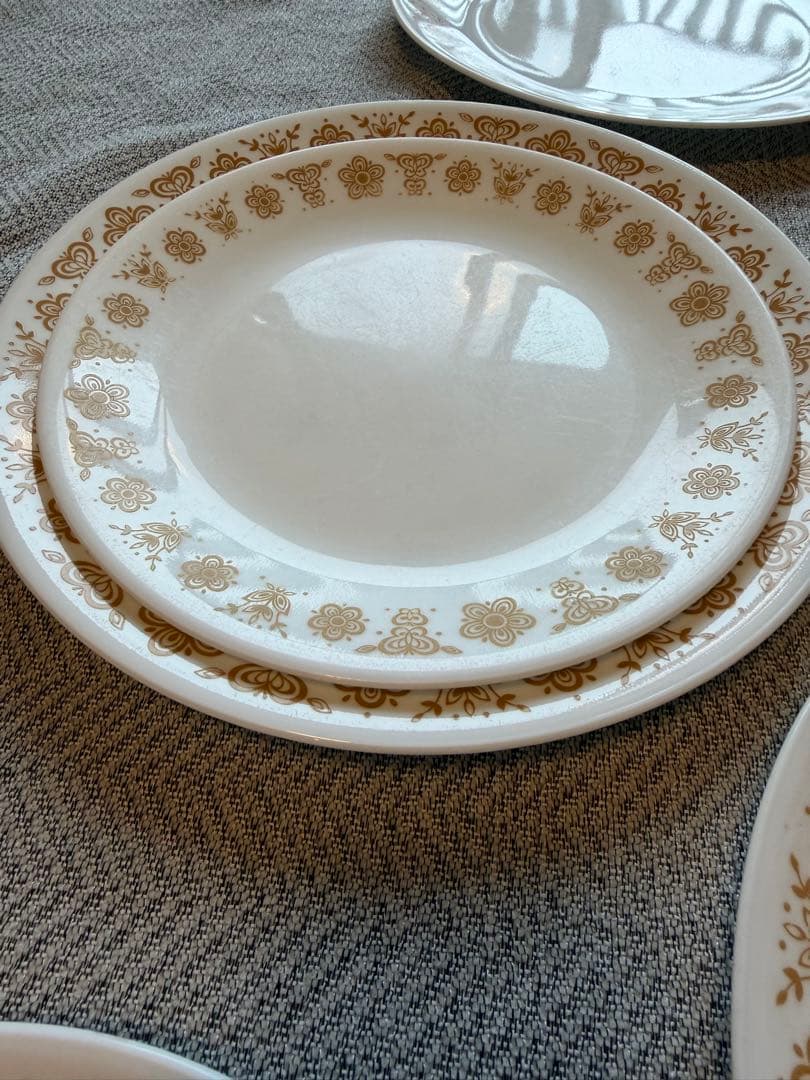 コレール バタフライゴールド 24点