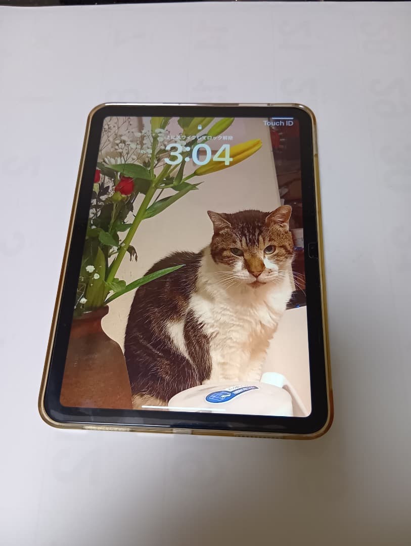 iPad 10世代　セルラー　simフリー