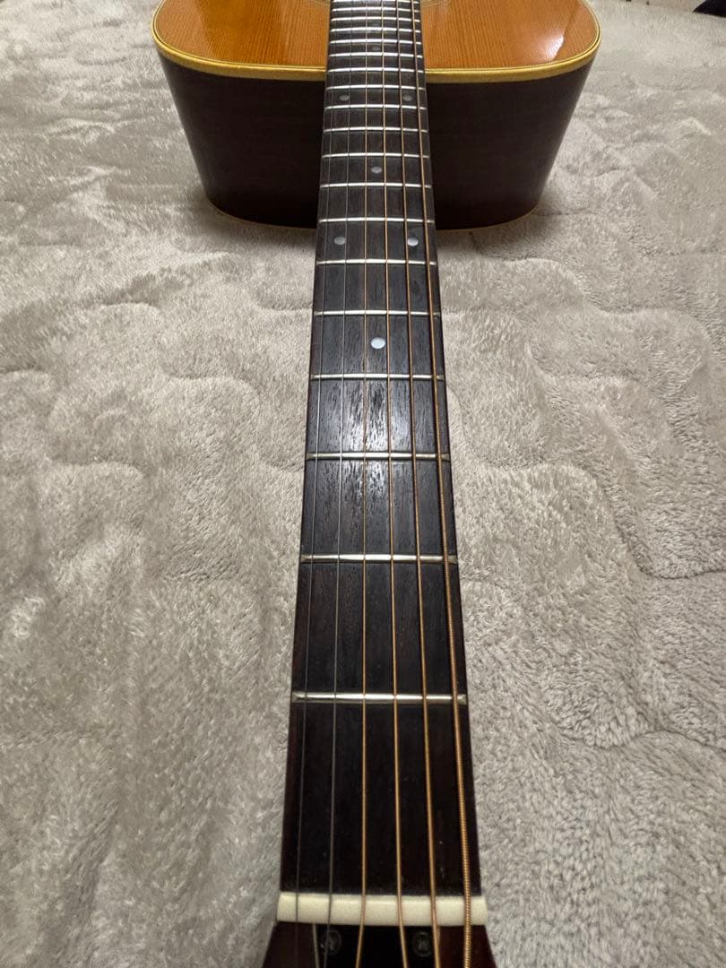 モーリスw20 調整品　フレットすり合わせ